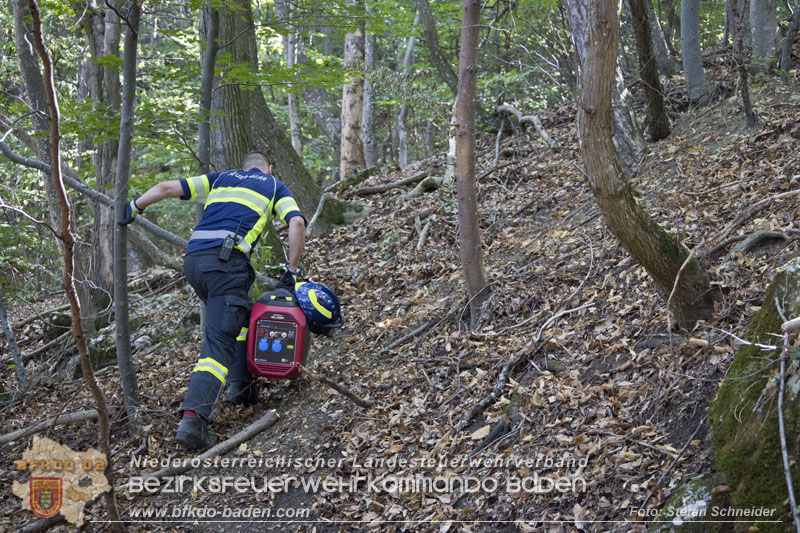20240907_Spotty nach über 50 Stunden durch Feuerwehr aus Felshöhle in Baden gerettet Foto: Stefan Schneider BFKDO BADEN