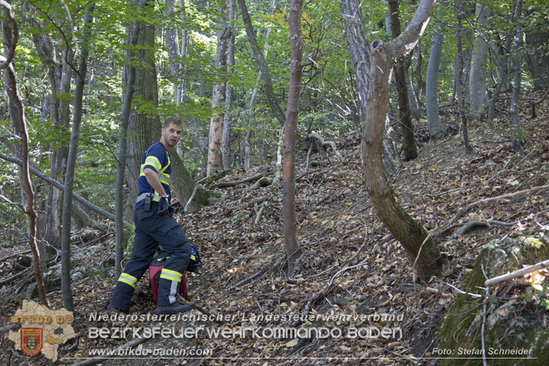 20240907_Spotty nach über 50 Stunden durch Feuerwehr aus Felshöhle in Baden gerettet Foto: Stefan Schneider BFKDO BADEN