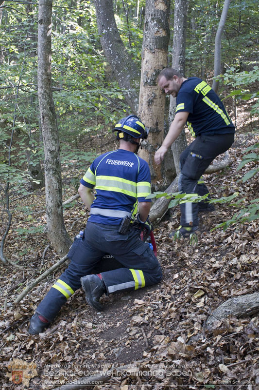 20240907_Spotty nach über 50 Stunden durch Feuerwehr aus Felshöhle in Baden gerettet Foto: Stefan Schneider BFKDO BADEN