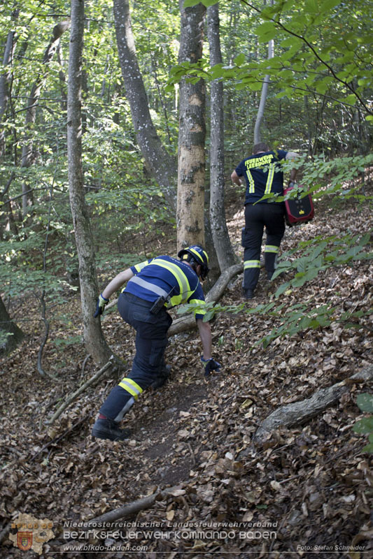 20240907_Spotty nach über 50 Stunden durch Feuerwehr aus Felshöhle in Baden gerettet Foto: Stefan Schneider BFKDO BADEN