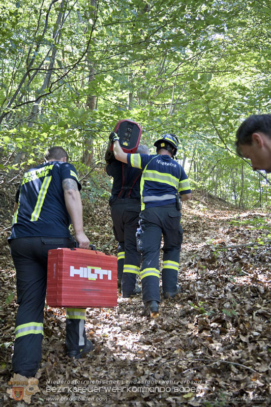 20240907_Spotty nach über 50 Stunden durch Feuerwehr aus Felshöhle in Baden gerettet Foto: Stefan Schneider BFKDO BADEN