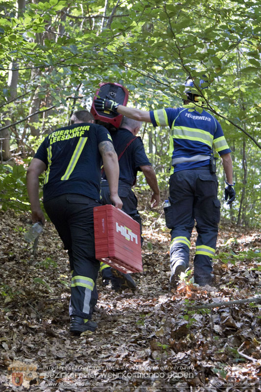 20240907_Spotty nach über 50 Stunden durch Feuerwehr aus Felshöhle in Baden gerettet Foto: Stefan Schneider BFKDO BADEN