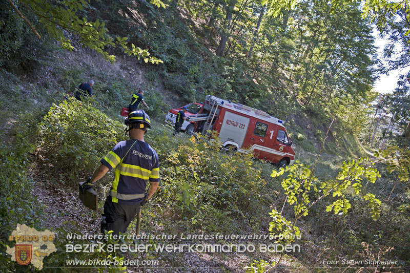 20240907_Spotty nach über 50 Stunden durch Feuerwehr aus Felshöhle in Baden gerettet Foto: Stefan Schneider BFKDO BADEN