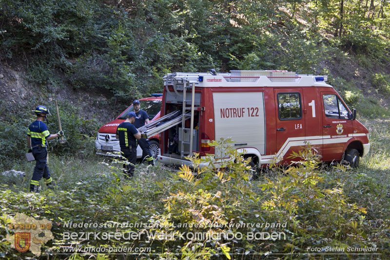 20240907_Spotty nach über 50 Stunden durch Feuerwehr aus Felshöhle in Baden gerettet Foto: Stefan Schneider BFKDO BADEN