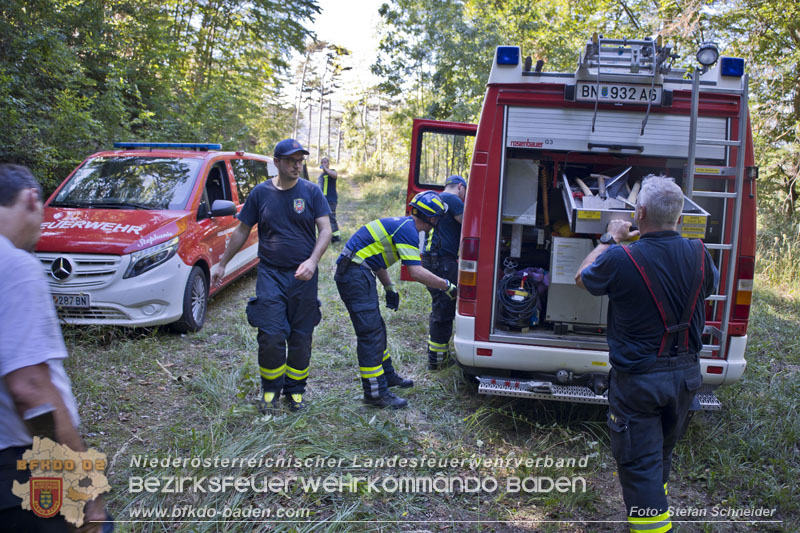 20240907_Spotty nach über 50 Stunden durch Feuerwehr aus Felshöhle in Baden gerettet Foto: Stefan Schneider BFKDO BADEN