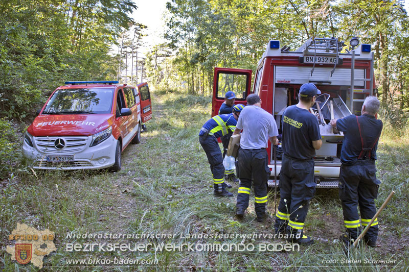 20240907_Spotty nach über 50 Stunden durch Feuerwehr aus Felshöhle in Baden gerettet Foto: Stefan Schneider BFKDO BADEN