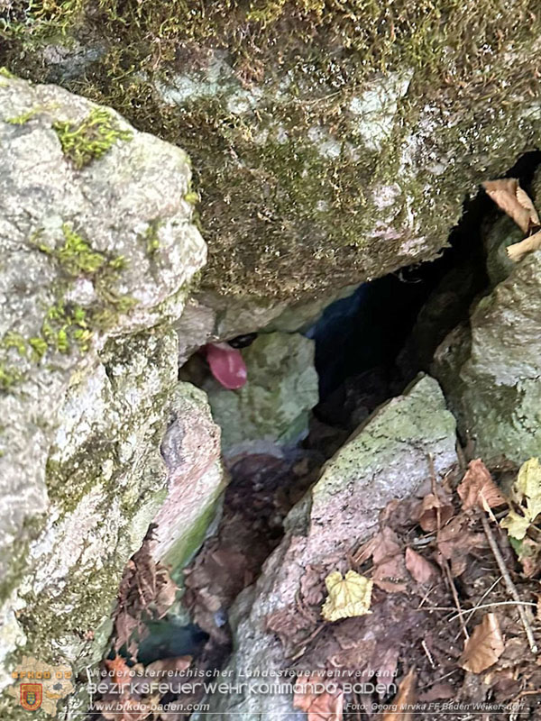 20240907_Spotty nach über 50 Stunden durch Feuerwehr aus Felshöhle in Baden gerettet   Foto: Georg Mrvka FF Baden Weikersdorf