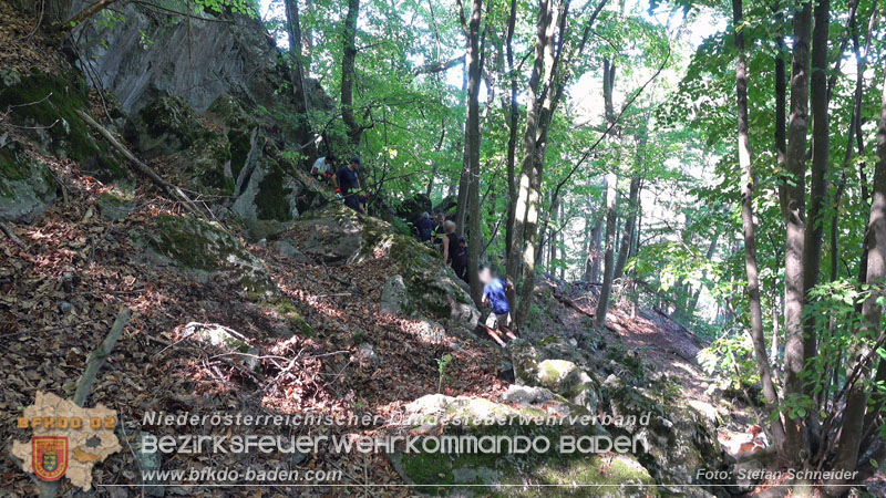 20240907_Spotty nach über 50 Stunden durch Feuerwehr aus Felshöhle in Baden gerettet Foto: Stefan Schneider BFKDO BADEN