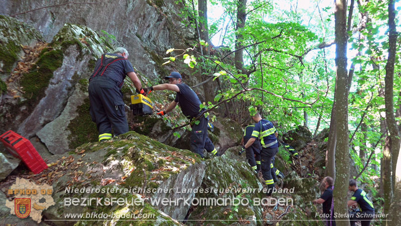 20240907_Spotty nach über 50 Stunden durch Feuerwehr aus Felshöhle in Baden gerettet Foto: Stefan Schneider BFKDO BADEN