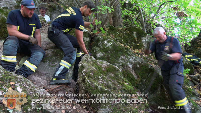 20240907_Spotty nach über 50 Stunden durch Feuerwehr aus Felshöhle in Baden gerettet Foto: Stefan Schneider BFKDO BADEN