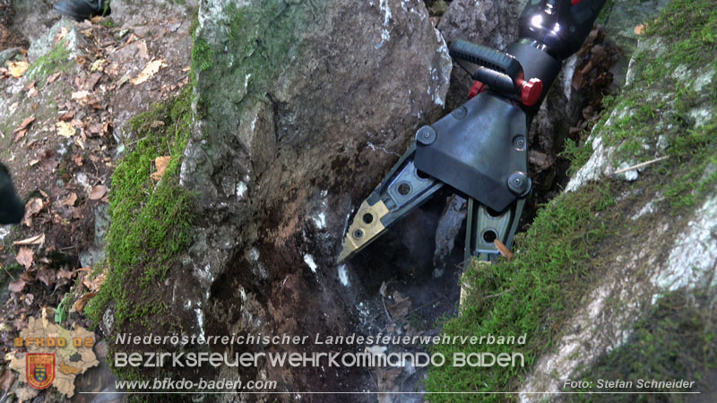 20240907_Spotty nach über 50 Stunden durch Feuerwehr aus Felshöhle in Baden gerettet Foto: Stefan Schneider BFKDO BADEN