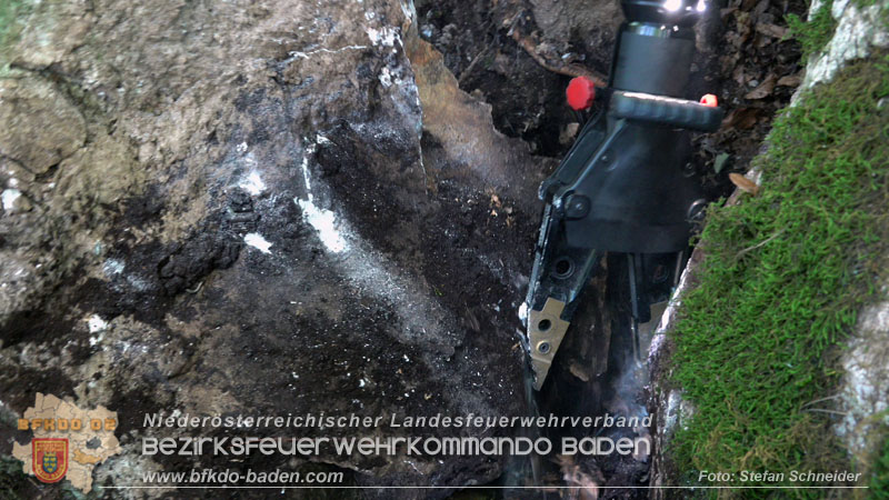 20240907_Spotty nach über 50 Stunden durch Feuerwehr aus Felshöhle in Baden gerettet Foto: Stefan Schneider BFKDO BADEN