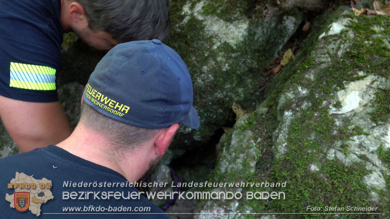 20240907_Spotty nach über 50 Stunden durch Feuerwehr aus Felshöhle in Baden gerettet Foto: Stefan Schneider BFKDO BADEN