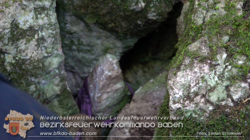 20240907_Spotty nach über 50 Stunden durch Feuerwehr aus Felshöhle in Baden gerettet Foto: Stefan Schneider BFKDO BADEN