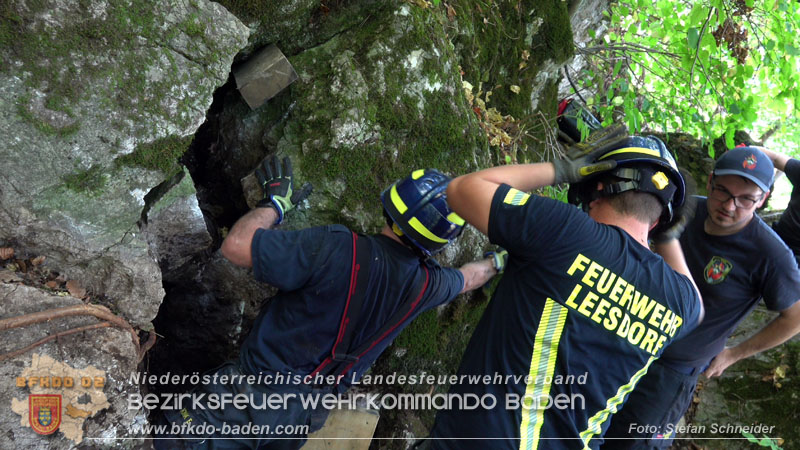 20240907_Spotty nach über 50 Stunden durch Feuerwehr aus Felshöhle in Baden gerettet Foto: Stefan Schneider BFKDO BADEN