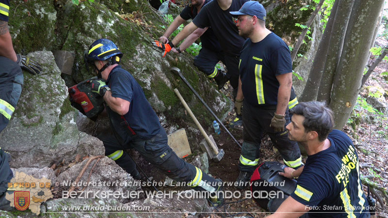 20240907_Spotty nach über 50 Stunden durch Feuerwehr aus Felshöhle in Baden gerettet Foto: Stefan Schneider BFKDO BADEN
