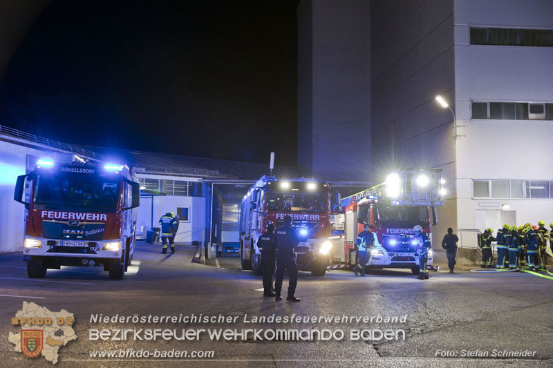 20241123_Alarmstufe B3 bei Brand in Gewerbebetrieb in Schönau a.d.Triesting   Foto: Stefan Schneider BFKDO BADEN