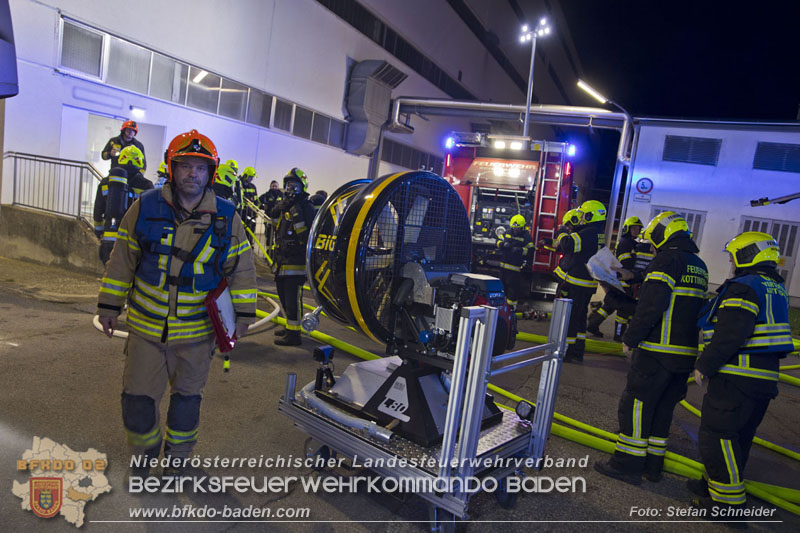 20241123_Alarmstufe B3 bei Brand in Gewerbebetrieb in Schönau a.d.Triesting   Foto: Stefan Schneider BFKDO BADEN