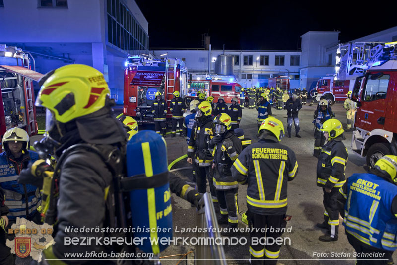 20241123_Alarmstufe B3 bei Brand in Gewerbebetrieb in Schönau a.d.Triesting   Foto: Stefan Schneider BFKDO BADEN