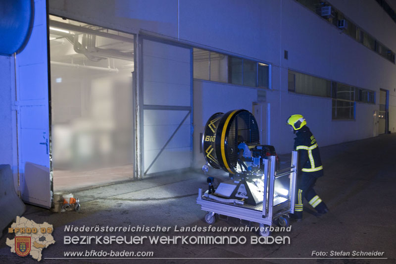 20241123_Alarmstufe B3 bei Brand in Gewerbebetrieb in Schönau a.d.Triesting   Foto: Stefan Schneider BFKDO BADEN