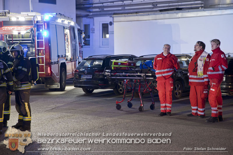20241123_Alarmstufe B3 bei Brand in Gewerbebetrieb in Schönau a.d.Triesting   Foto: Stefan Schneider BFKDO BADEN