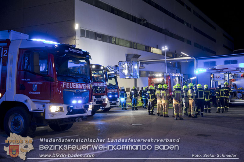 20241123_Alarmstufe B3 bei Brand in Gewerbebetrieb in Schönau a.d.Triesting   Foto: Stefan Schneider BFKDO BADEN