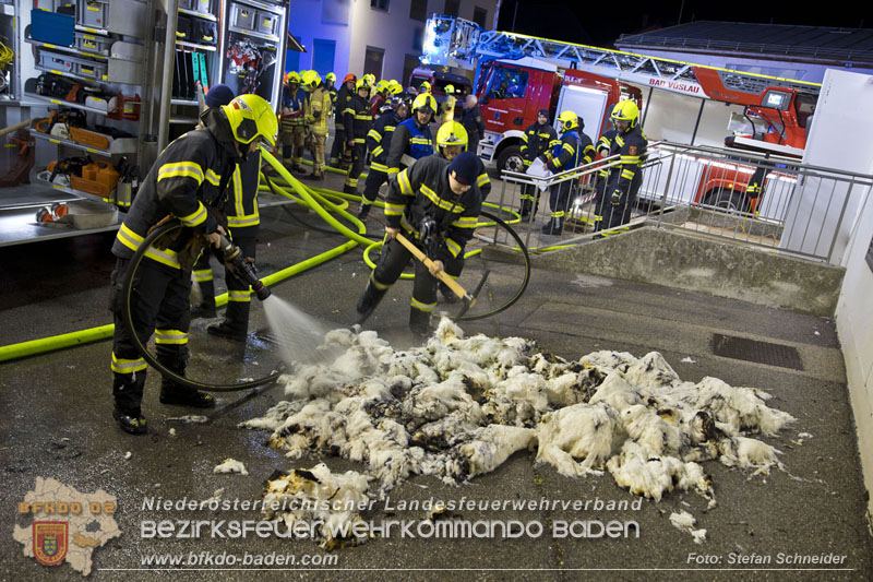 20241123_Alarmstufe B3 bei Brand in Gewerbebetrieb in Schönau a.d.Triesting   Foto: Stefan Schneider BFKDO BADEN