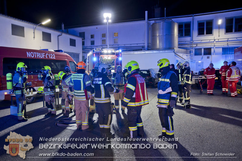 20241123_Alarmstufe B3 bei Brand in Gewerbebetrieb in Schönau a.d.Triesting   Foto: Stefan Schneider BFKDO BADEN
