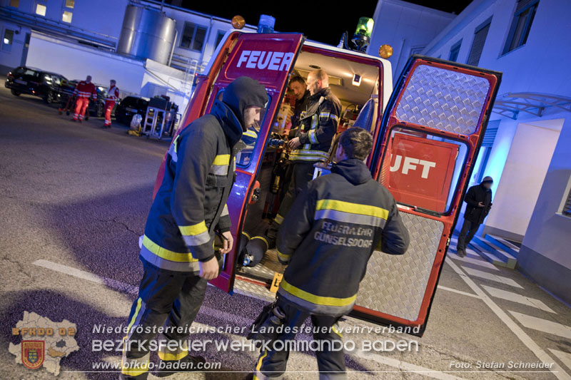 20241123_Alarmstufe B3 bei Brand in Gewerbebetrieb in Schönau a.d.Triesting   Foto: Stefan Schneider BFKDO BADEN