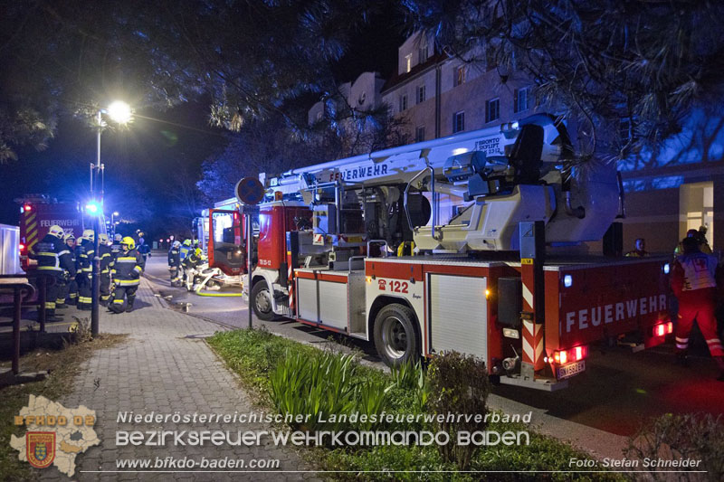 20241204_Feuerwehr rettet Katze aus Brandwohnung in Traiskirchen-Möllersdorf Foto: Stefan Schneider BFKDO BADEN