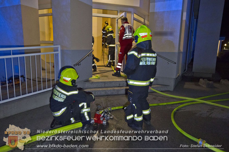 20241204_Feuerwehr rettet Katze aus Brandwohnung in Traiskirchen-Möllersdorf Foto: Stefan Schneider BFKDO BADEN