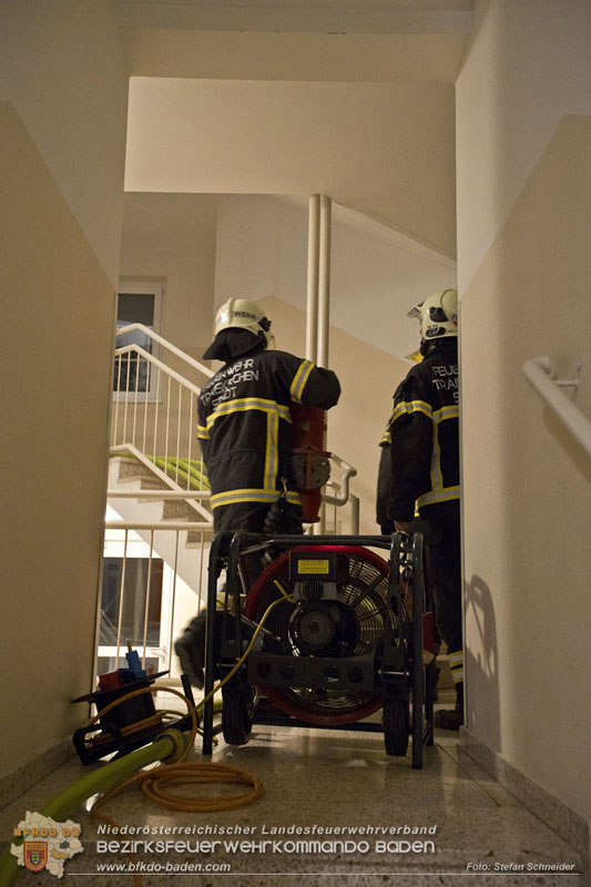 20241204_Feuerwehr rettet Katze aus Brandwohnung in Traiskirchen-Möllersdorf Foto: Stefan Schneider BFKDO BADEN