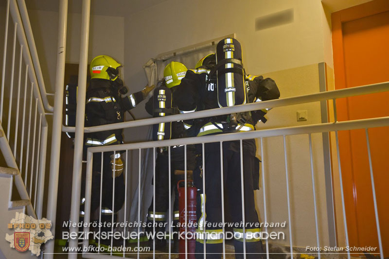 20241204_Feuerwehr rettet Katze aus Brandwohnung in Traiskirchen-Möllersdorf Foto: Stefan Schneider BFKDO BADEN