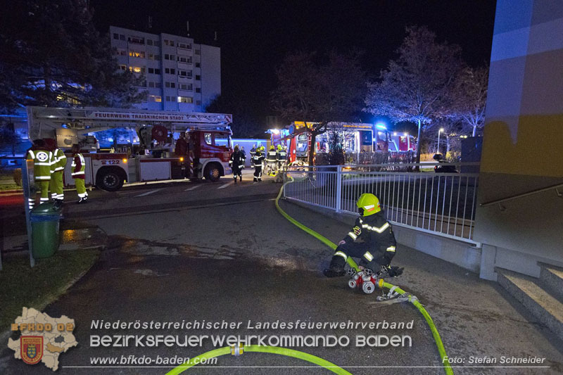 20241204_Feuerwehr rettet Katze aus Brandwohnung in Traiskirchen-Möllersdorf Foto: Stefan Schneider BFKDO BADEN