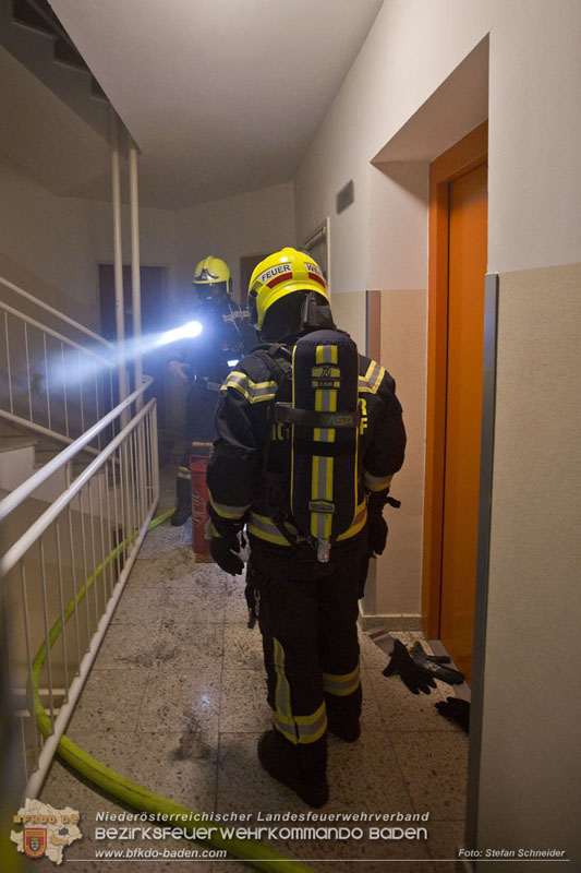 20241204_Feuerwehr rettet Katze aus Brandwohnung in Traiskirchen-Möllersdorf Foto: Stefan Schneider BFKDO BADEN