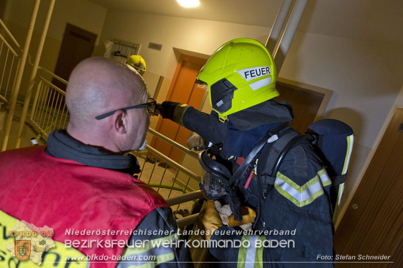 20241204_Feuerwehr rettet Katze aus Brandwohnung in Traiskirchen-Möllersdorf Foto: Stefan Schneider BFKDO BADEN