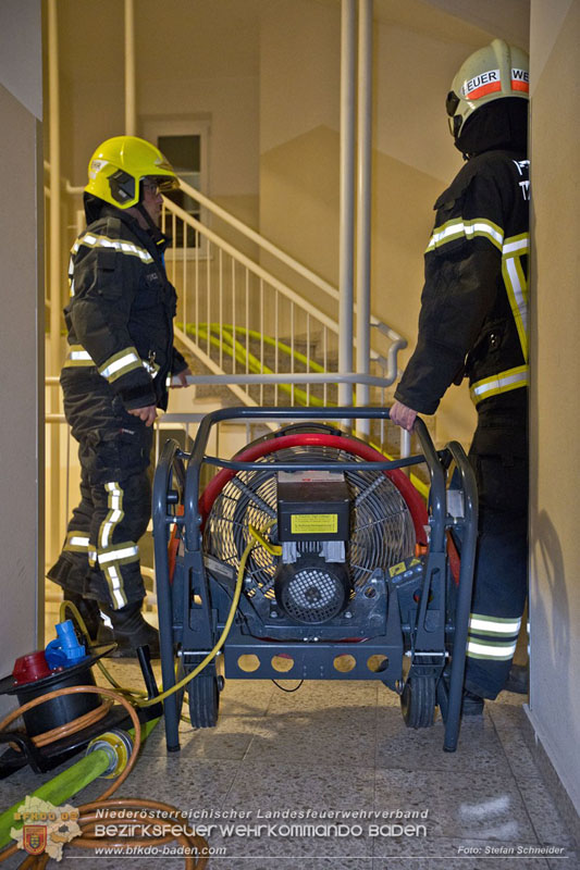 20241204_Feuerwehr rettet Katze aus Brandwohnung in Traiskirchen-Möllersdorf Foto: Stefan Schneider BFKDO BADEN