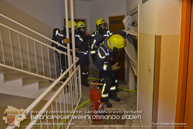 20241204_Feuerwehr rettet Katze aus Brandwohnung in Traiskirchen-Möllersdorf Foto: Stefan Schneider BFKDO BADEN