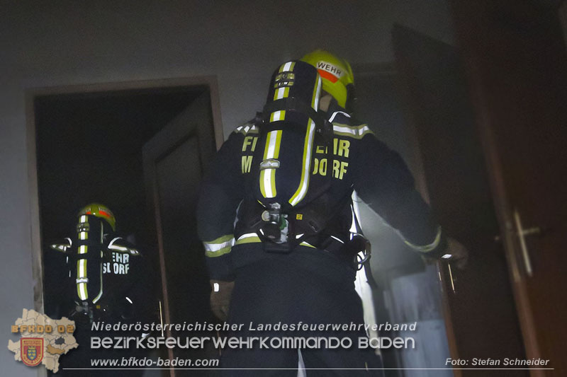 20241204_Feuerwehr rettet Katze aus Brandwohnung in Traiskirchen-Möllersdorf Foto: Stefan Schneider BFKDO BADEN