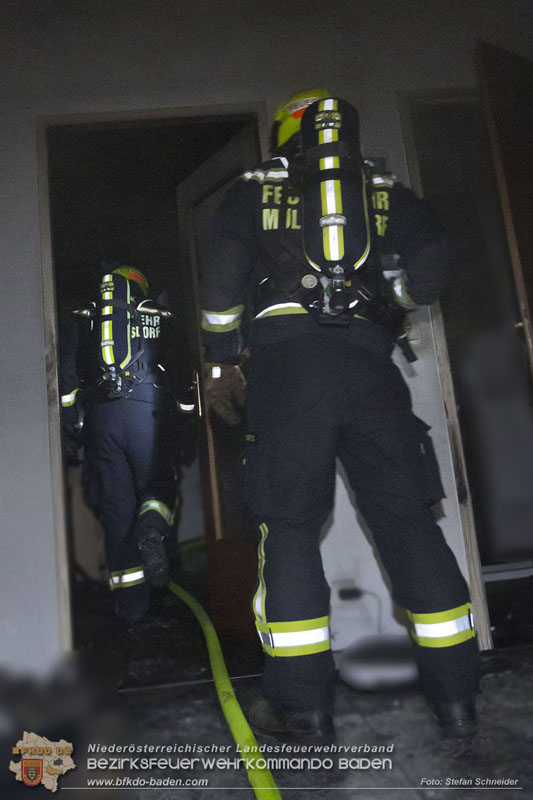 20241204_Feuerwehr rettet Katze aus Brandwohnung in Traiskirchen-Möllersdorf Foto: Stefan Schneider BFKDO BADEN