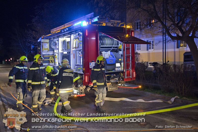 20241204_Feuerwehr rettet Katze aus Brandwohnung in Traiskirchen-Möllersdorf Foto: Stefan Schneider BFKDO BADEN