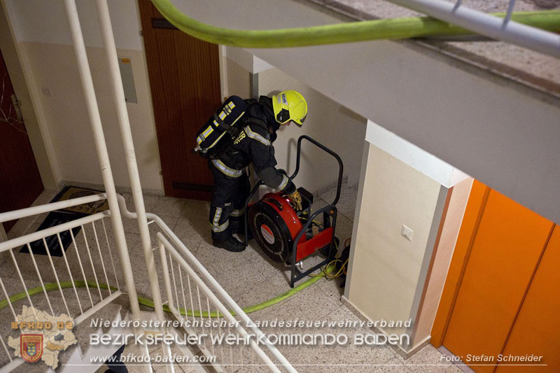 20241204_Feuerwehr rettet Katze aus Brandwohnung in Traiskirchen-Möllersdorf Foto: Stefan Schneider BFKDO BADEN