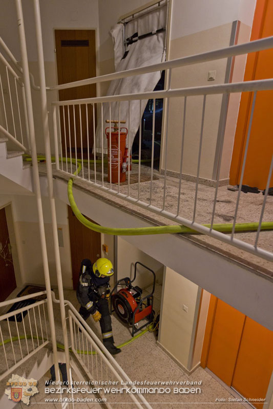 20241204_Feuerwehr rettet Katze aus Brandwohnung in Traiskirchen-Möllersdorf Foto: Stefan Schneider BFKDO BADEN