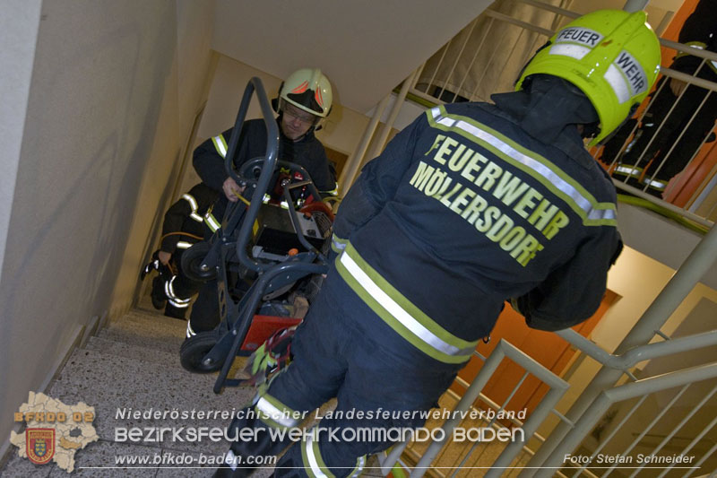 20241204_Feuerwehr rettet Katze aus Brandwohnung in Traiskirchen-Möllersdorf Foto: Stefan Schneider BFKDO BADEN