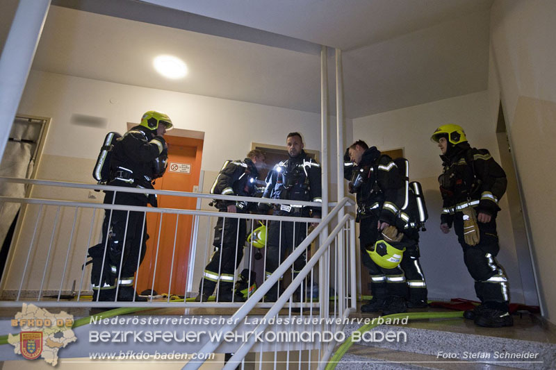 20241204_Feuerwehr rettet Katze aus Brandwohnung in Traiskirchen-Möllersdorf Foto: Stefan Schneider BFKDO BADEN