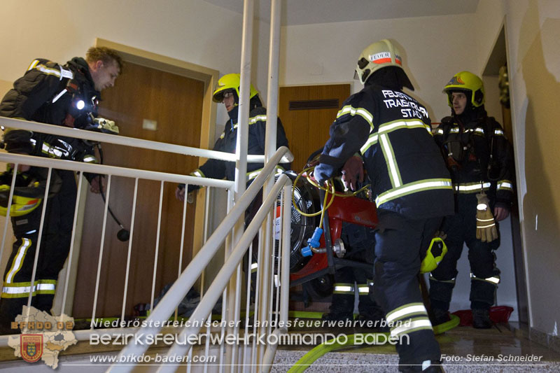 20241204_Feuerwehr rettet Katze aus Brandwohnung in Traiskirchen-Möllersdorf Foto: Stefan Schneider BFKDO BADEN