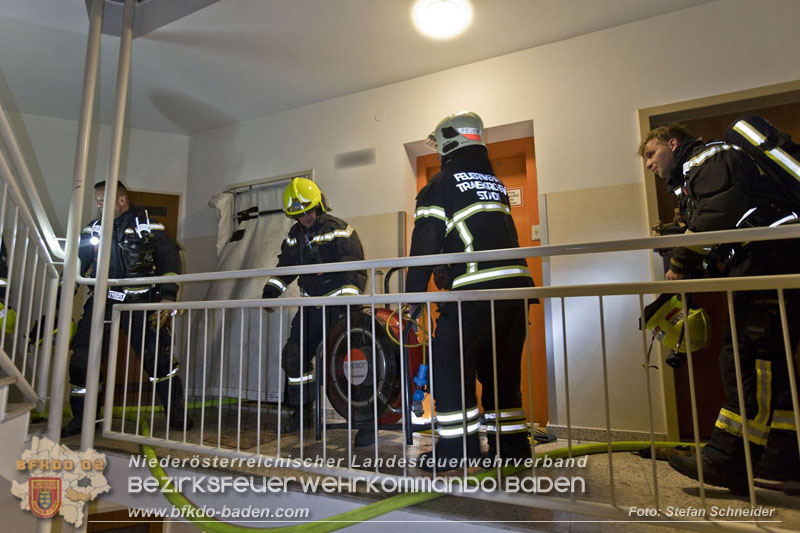 20241204_Feuerwehr rettet Katze aus Brandwohnung in Traiskirchen-Möllersdorf Foto: Stefan Schneider BFKDO BADEN