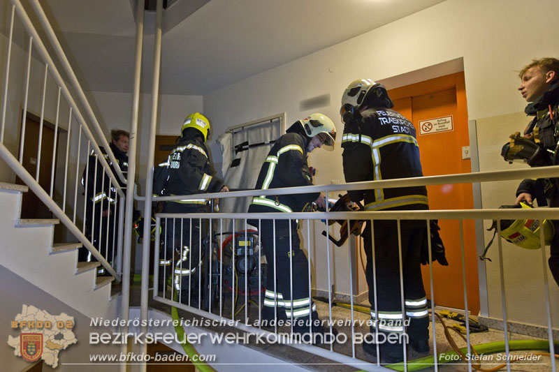 20241204_Feuerwehr rettet Katze aus Brandwohnung in Traiskirchen-Möllersdorf Foto: Stefan Schneider BFKDO BADEN