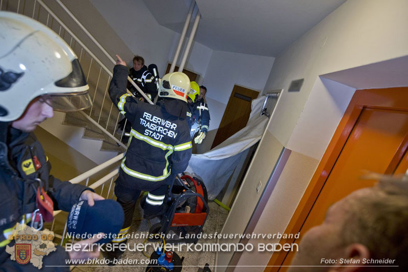 20241204_Feuerwehr rettet Katze aus Brandwohnung in Traiskirchen-Möllersdorf Foto: Stefan Schneider BFKDO BADEN