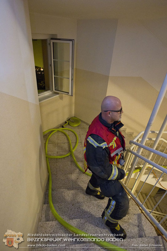 20241204_Feuerwehr rettet Katze aus Brandwohnung in Traiskirchen-Möllersdorf Foto: Stefan Schneider BFKDO BADEN
